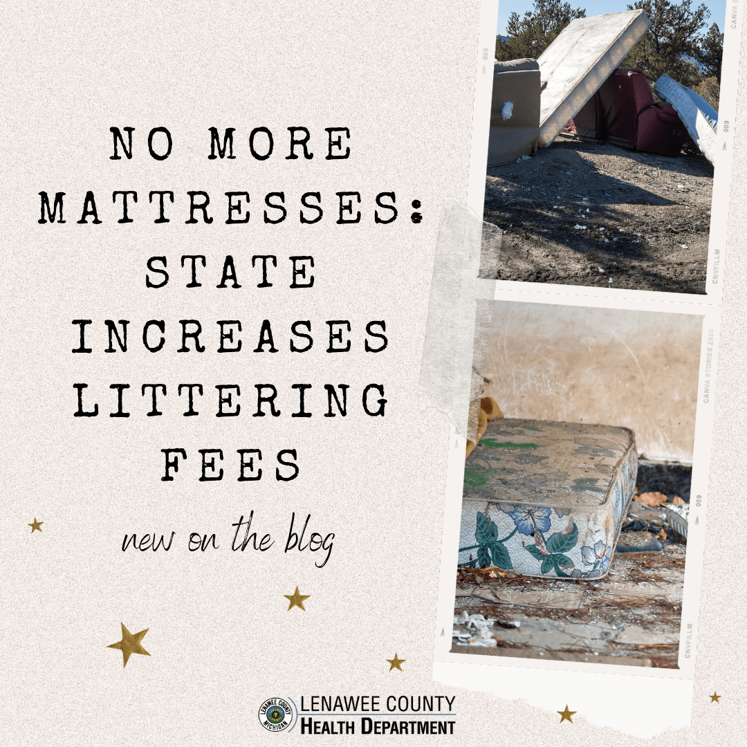 junk mattresses on side of road