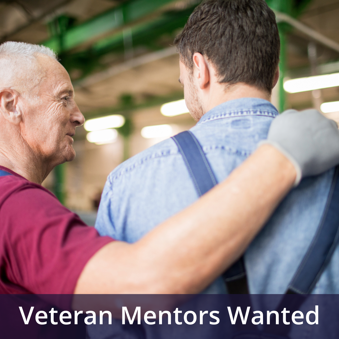 veteran mentors wanted