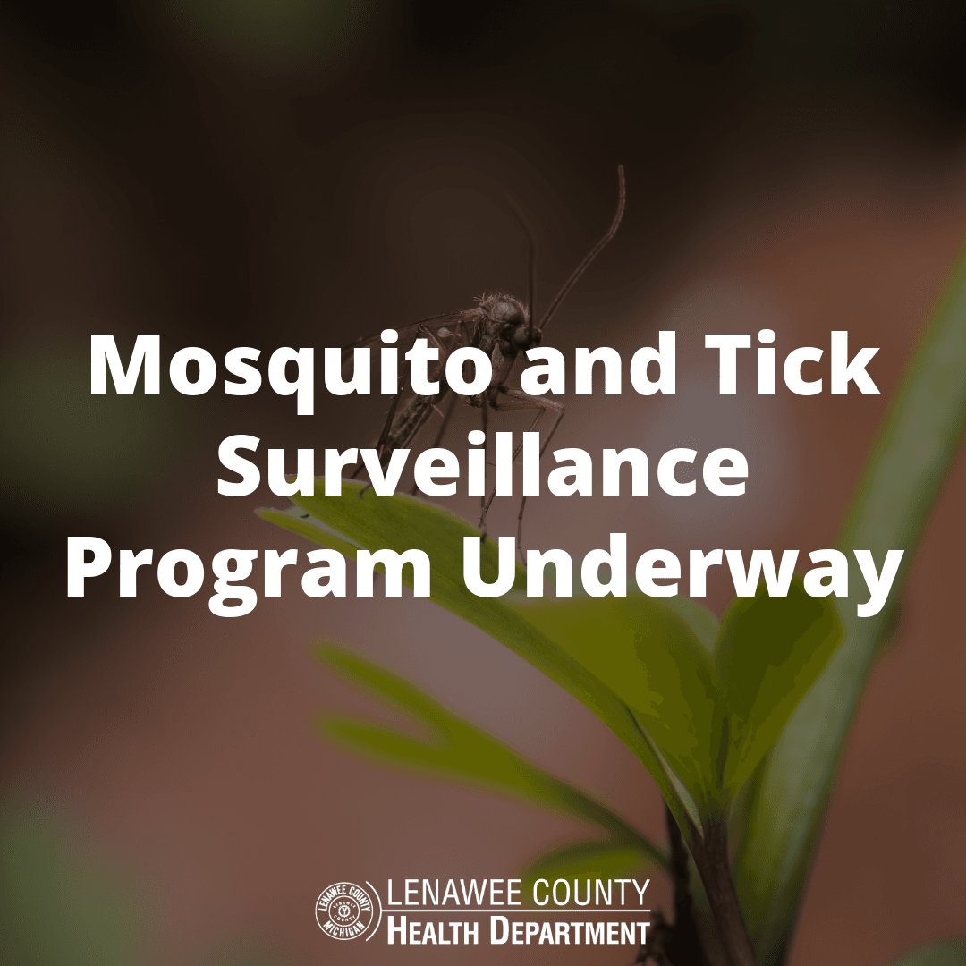 Mosquito and Tick Surveillance Program Underway