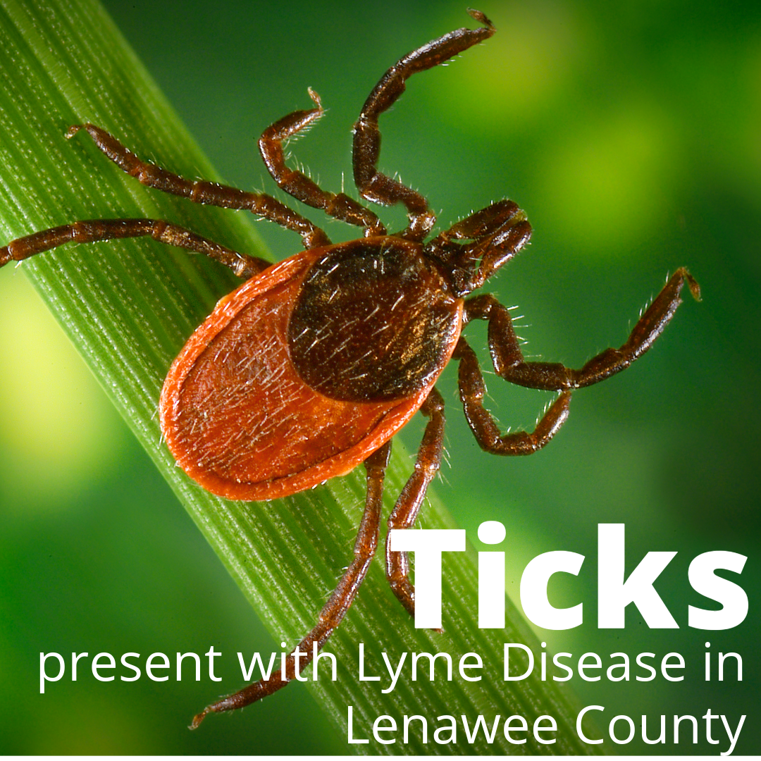 Untitled - 2024-06-11T124202.431