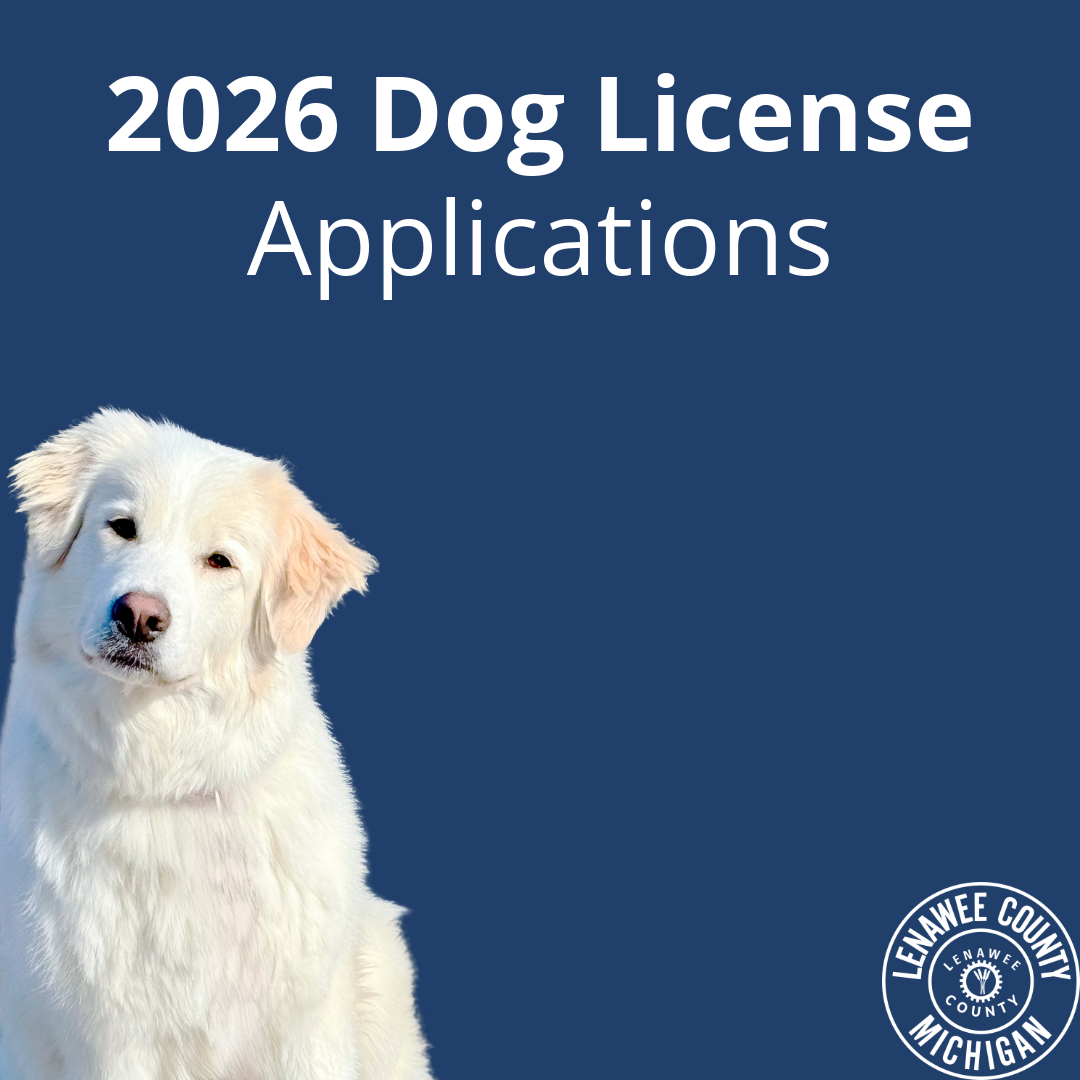2026 Dog License Applications