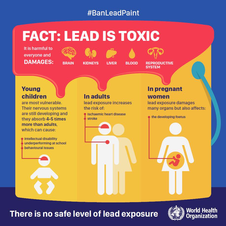 lead poisoning