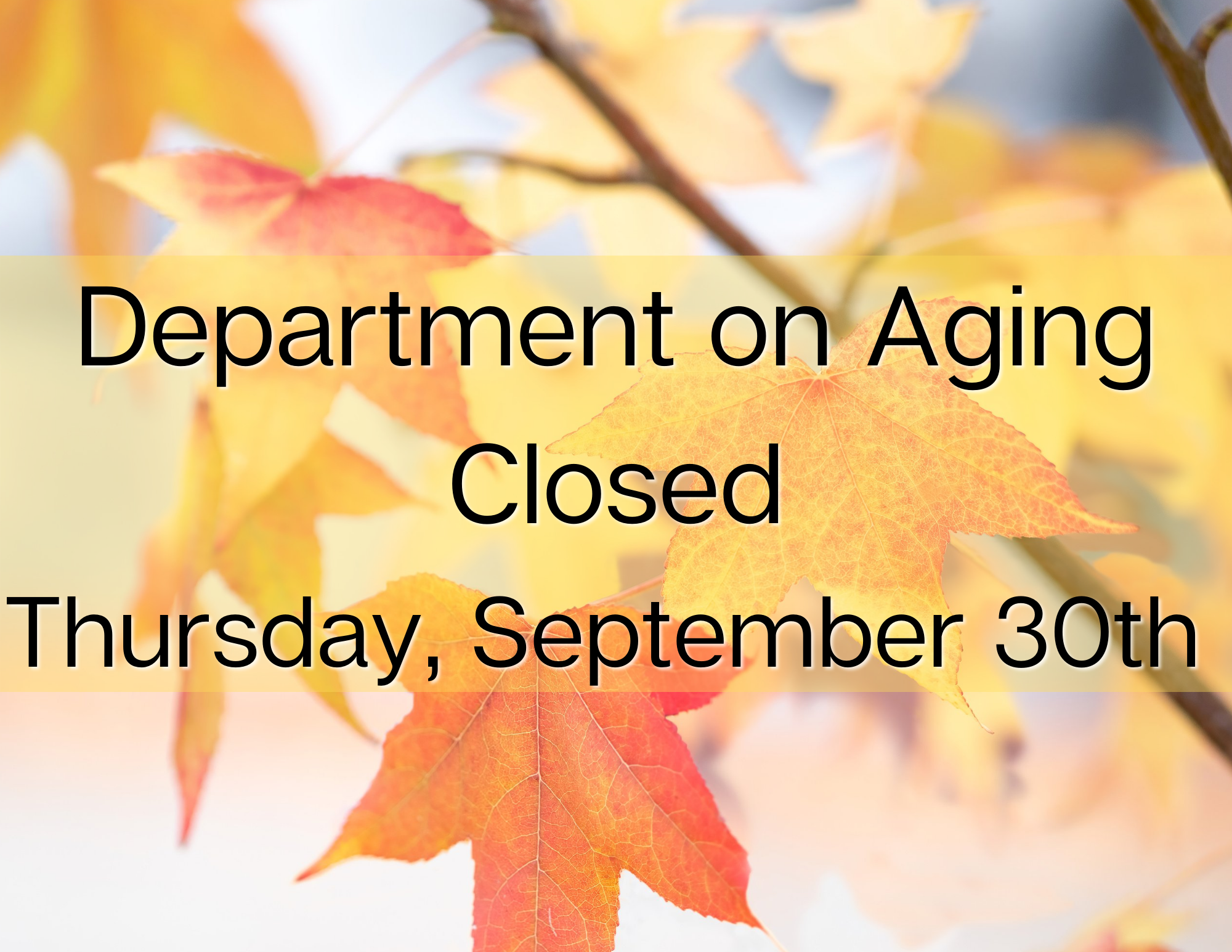 Untitled (11 x 8.5 in)