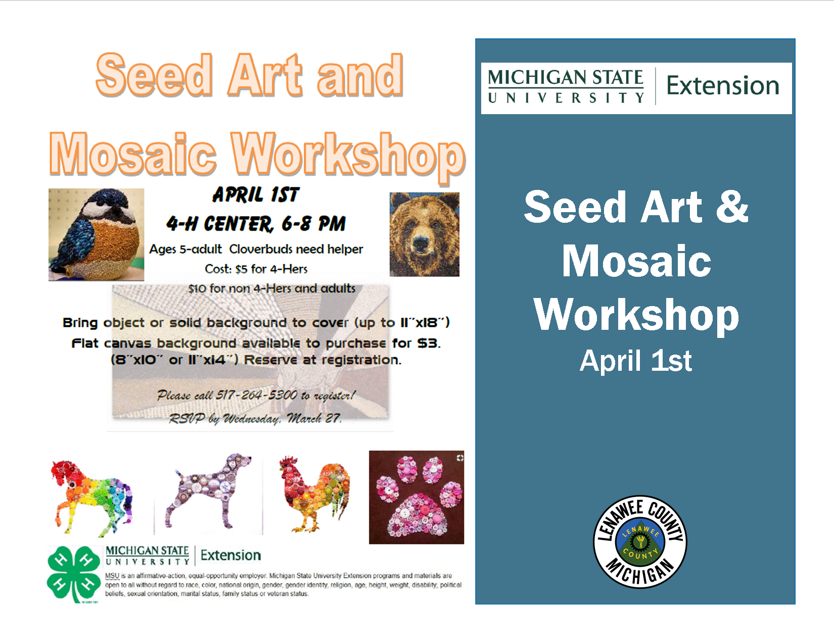 Seed Art Projects