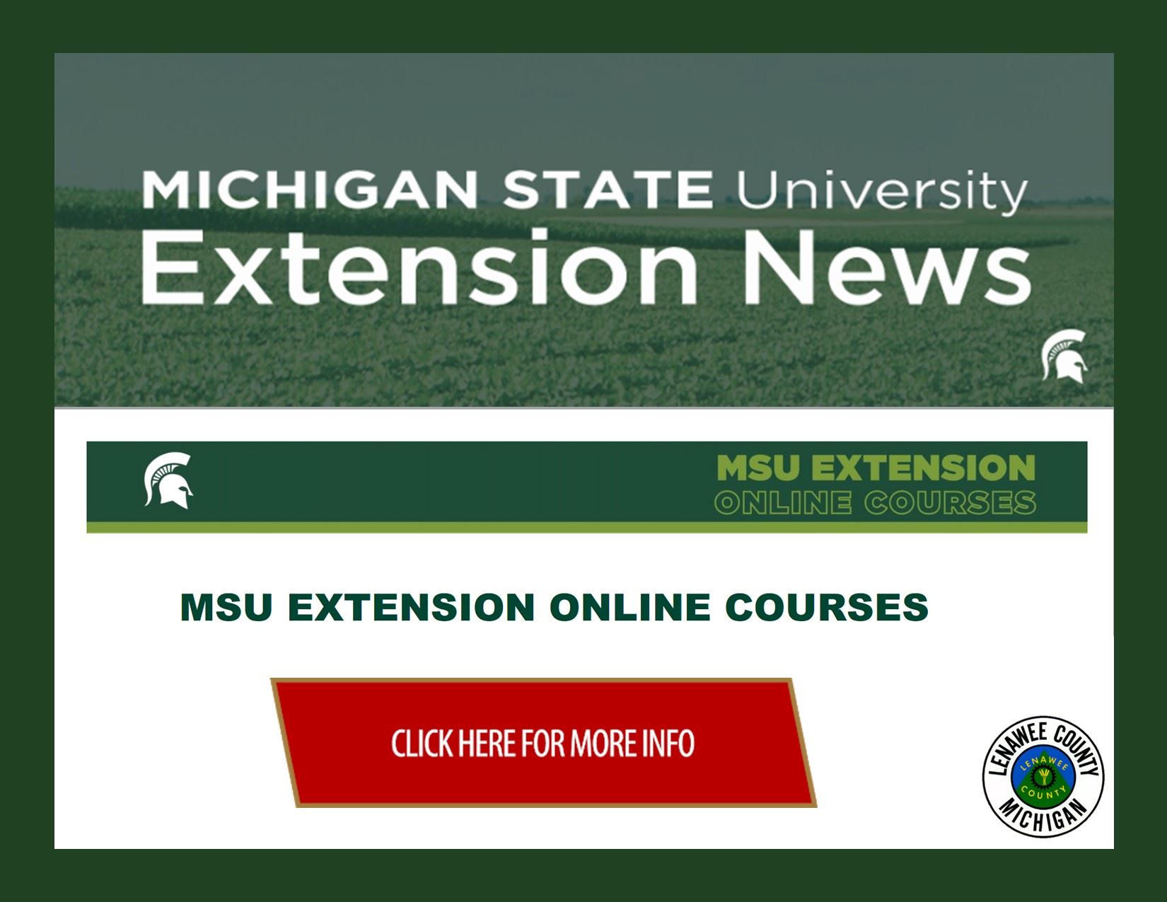 MSU Online Courses